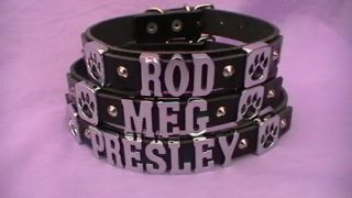 Personalised Dog Collar   Chrome Letters