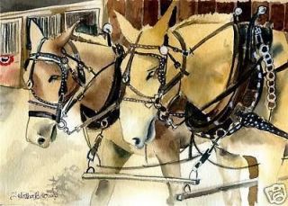 Mules In Harness Horse Portrait Matted Print