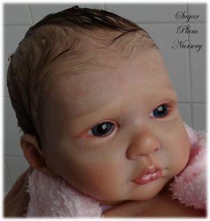 * Brand New Reborn Doll Kit *NOW IN STOCK* Phil Donnelly Babies