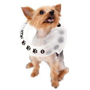 BooBooLoon Protective Petwear Inflatable Recovery Collar For Dogs