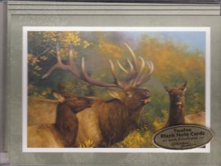ELK BLANK NOTE CARDS *IVORY CHALLENGE* NEW