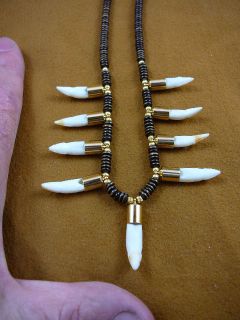 ) nine 1 GATOR Alligator Tooth Teeth Gold capped cap brown necklace