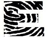 Adorable Monogram Zebra Print   Fingerprint Letter E with Name in 2nd