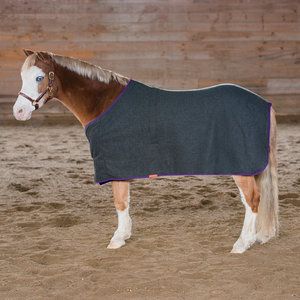 Franconia Wool Pony Dress Sheet Navy/red 60