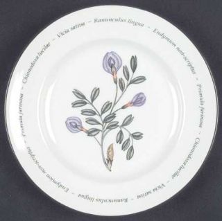 Johnson Brothers Wild Flowers Bread & Butter Plate, Fine China Dinnerware   Diff