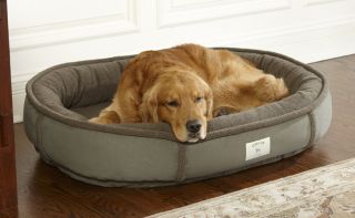 Wraparound Dog Bed With Memory Foam / Medium   Dogs 35 50 Lbs., Olive, Medium