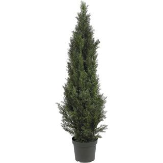 Mini 5 foot Indoor/ Outdoor Cedar Pine Tree