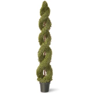 National Tree Co. Cedar Double Spiral Round Topiary in Pot LCDS4 Size 72 H 