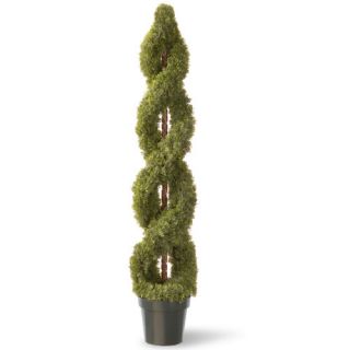 National Tree Co. Cedar Double Spiral Round Topiary in Pot LCDS4
