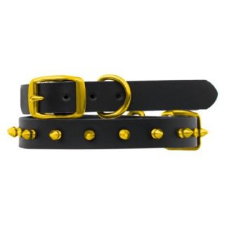 Platinum Pets Black Genuine Leather Dog Collar with Spikes   Gold (11   15)