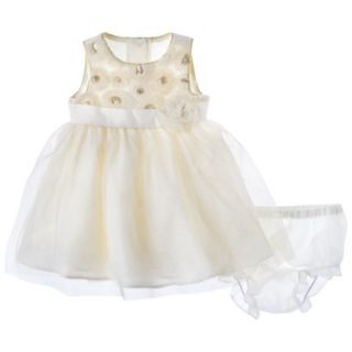 Rosenau Newborn Girls Rosette Tulle Dress and Panty   White 6 M