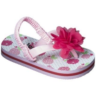 Toddler Girls Circo Danya Flip Flop Sandals   Coral L