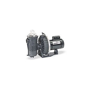 Pentair 346201 Challenger 115/230V SingleSpeed High Pressure Pool Pump, 2.0 HP UP Rated