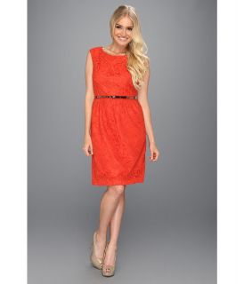 Ellen Tracy Cap Sleeved Lace Sheath w/Belt Womens Dress (Orange)