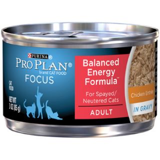 Focus Balanced Energy Canned Cat Food, 3 oz.