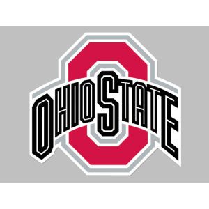 Ohio State Buckeyes Wincraft Die Cut Color Decal 8in X 8in