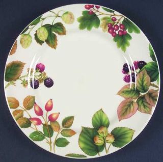 Cloverleaf (England) Country Fruits Luncheon Plate, Fine China Dinnerware   Mult