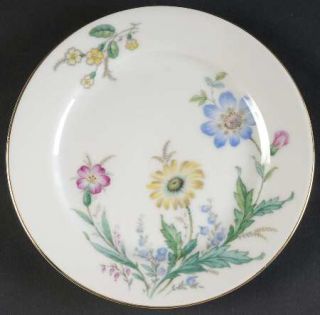 Thomas 7373 Bread & Butter Plate, Fine China Dinnerware   Blue, Pink, Yellow Flo