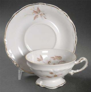 Forest Brown Orchid Footed Cup & Saucer Set, Fine China Dinnerware   Brown Orchi