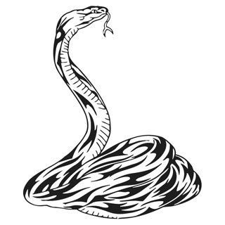 Coiled Cobra Vinyl Wall Decal (BlackEasy to applyIncludes instructionsDimensions 22 inches wide x 35 inches long )