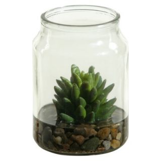 Desert Yucca Plant in Candle Jar