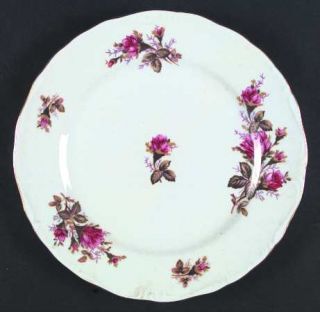 Norleans Mose Rose/Moss Rose Dinner Plate, Fine China Dinnerware   Red Roses,Emb
