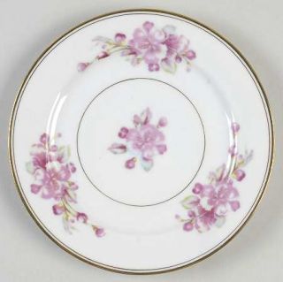 Aladdin Rosemont Bread & Butter Plate, Fine China Dinnerware   Pink Flowers/Rim
