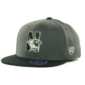 Northwestern Wildcats Top of the World NCAA Slam Collector One Fit Cap