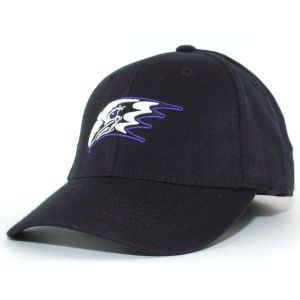 Niagara Purple Eagles Top of the World NCAA PC Cap