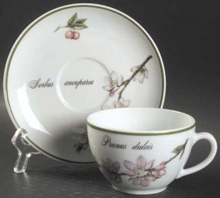 Apilco Elysian Gardens Flat Cup & Saucer Set, Fine China Dinnerware   Flowers &