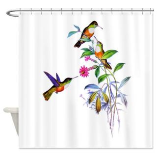  Hummingbirds Shower Curtain  Use code FREECART at Checkout