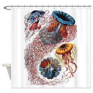  Ernst Haeckel Jellyfish Shower Curtain  Use code FREECART at Checkout