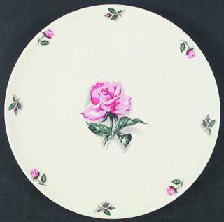 Household Institute Pink Rose Dinner Plate, Fine China Dinnerware   Pink/White R