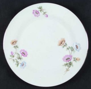 Tirschenreuth Fragrance, The Dinner Plate, Fine China Dinnerware   Pink,Blue&Yel