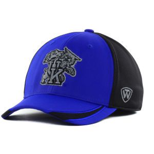 Kentucky Wildcats Top of the World NCAA Sifter Memory Fit Cap