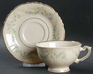 Syracuse Appleton Footed Cup & Saucer Set, Fine China Dinnerware   Blue&Yellow R