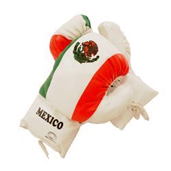 Defender Mexican 4 ounce Boxing Gloves
