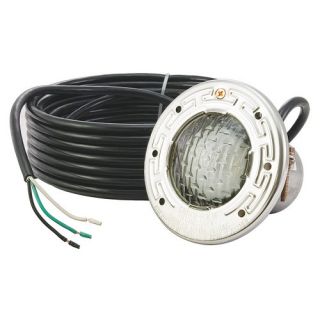 Pentair 77360300 120V AquaLight Halogen Pool and Spa Light 100Ft. Cord 250W