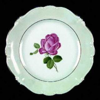 Johann Haviland Joh23 Dinner Plate, Fine China Dinnerware   Pompadour Shape,Pink