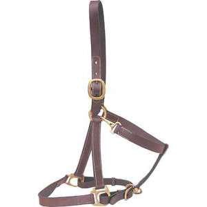 Suffolk Stable And Turnout Halter Lg Pony