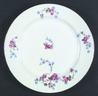 Limoges French Lim10 Dinner Plate, Fine China Dinnerware   Pink And Blue Flowers