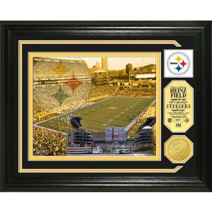Pittsburgh Steelers Highland Mint Photo Mint Coin Bronze