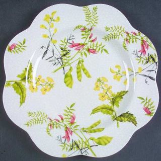 Spode Home Accents Botanical 9 Daisy Plate, Fine China Dinnerware   Multimotif