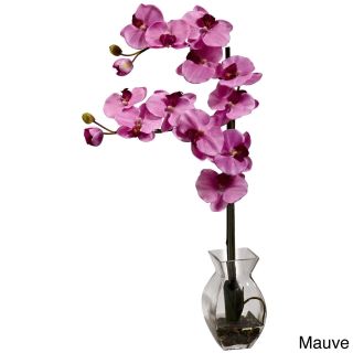 Phalaenopsis Orchid And Vase Arrangement