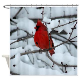  Snow Cardinal Shower Curtain  Use code FREECART at Checkout