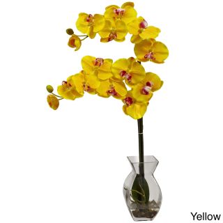 Phalaenopsis Orchid And Vase Arrangement