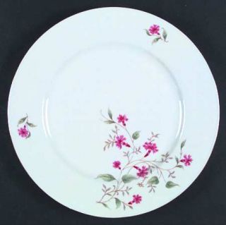 Eschenbach P861 Dinner Plate, Fine China Dinnerware   Red Flowers,Green/Gray Lea