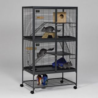 Critter Nation Double Unit with Stand Multicolor   162