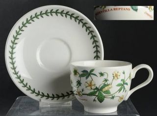 Portmeirion Botanic Garden Traditional Footed Cup & Saucer Set, Fine China Dinne