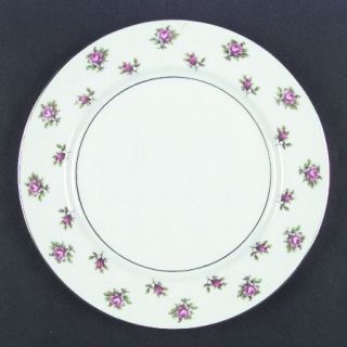 Kyoto Dorchester Dinner Plate, Fine China Dinnerware   Rosebuds, Platinum Trim